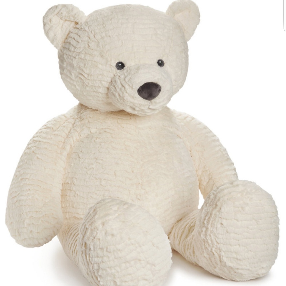 Cute tedy bear